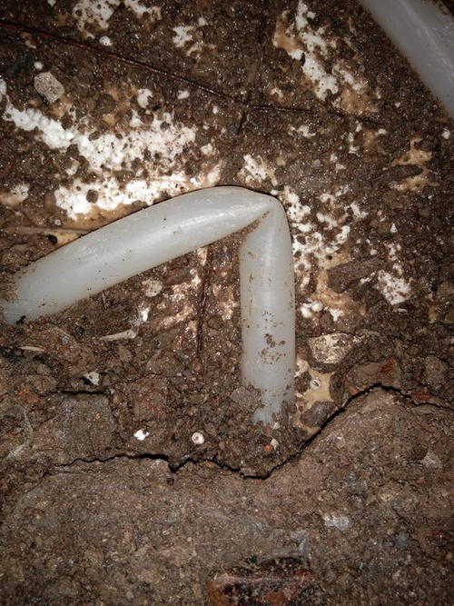 杜尔伯特堵点精准查找